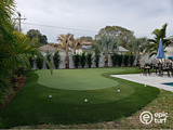 Custom backyard putting green design